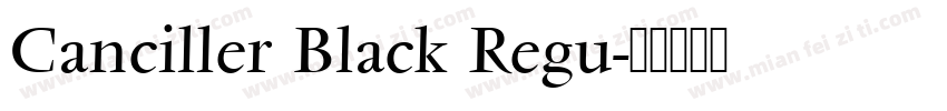 Canciller Black Regu字体转换